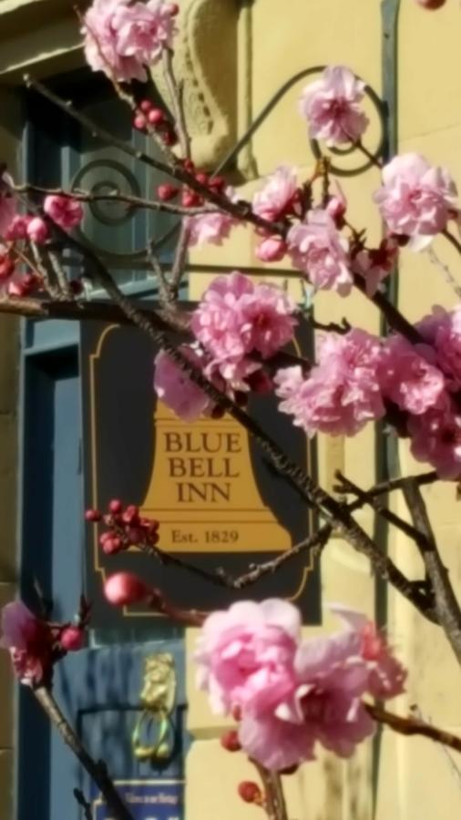Blue Bell Inn Sorell Экстерьер фото